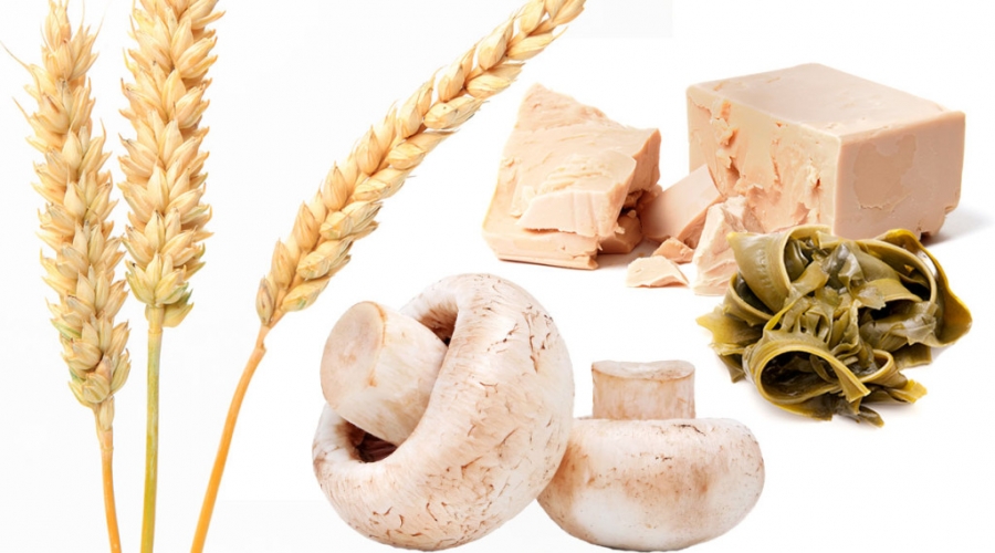 Πόσο… καλό μας κάνει η β΄ γλυκάνη; | Kids Cooking Club
